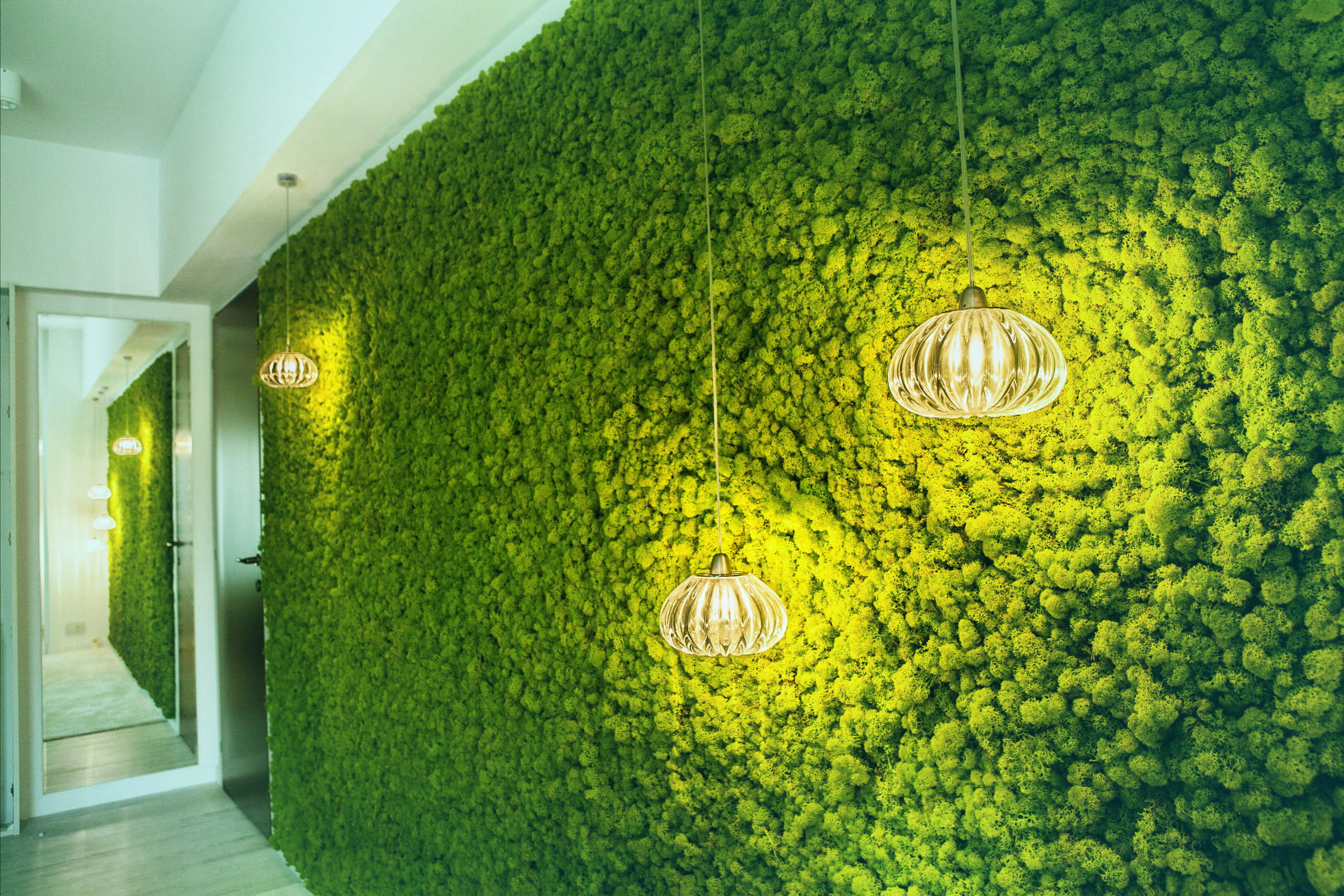 Bucharest Apartment — Lichen wall — primary atmospheric element